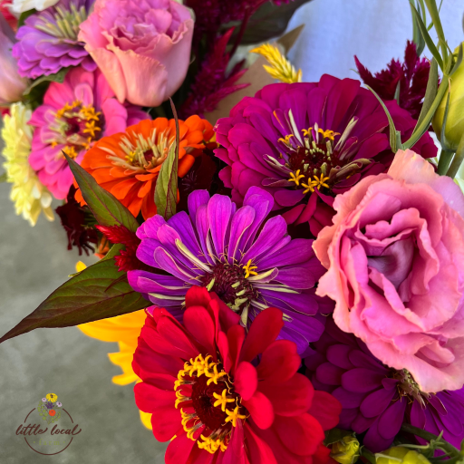 fall colored close up of florals